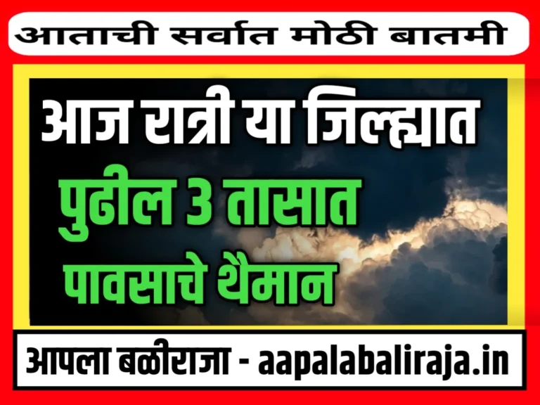 India Meteorological Department : 19 ऑगस्ट रोजी या जिल्ह्यात मुसळधार पाऊस कोसळणार