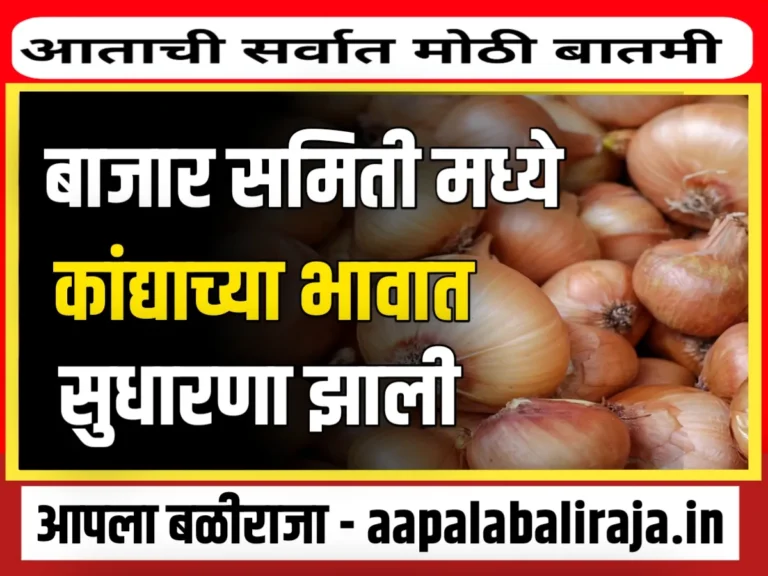 Onions Rate : आजचे कांद्याचे भाव 4 ऑक्टोबर 2023 महाराष्ट्र