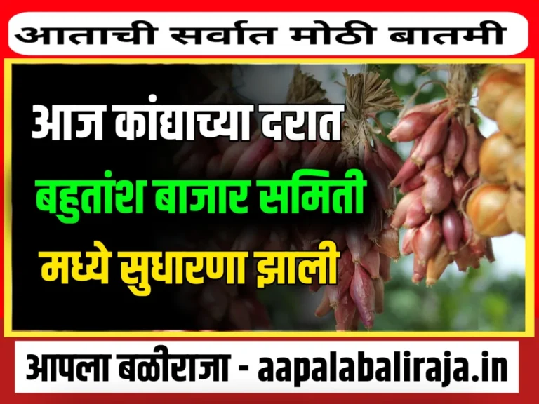 Onions Rate : आजचे कांद्याचे भाव 5 ऑक्टोबर 2023 महाराष्ट्र