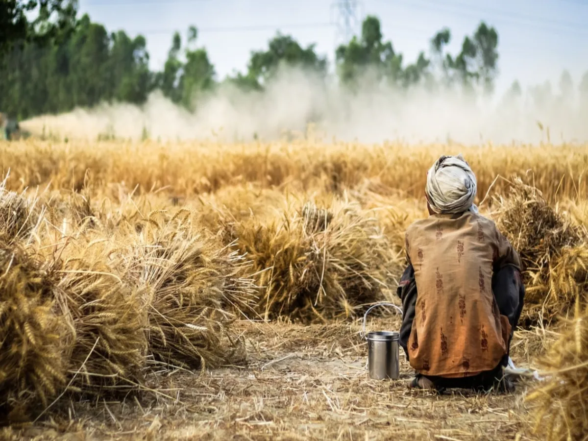 Advance Crop Insurance : या जिल्ह्यात सर्वाधिक पिक विमा वाटला जात