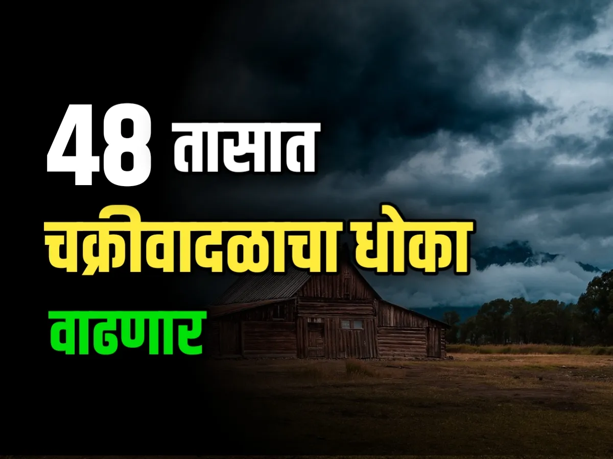 IMD : पुढील 48 तासात जोरदार पावसाचा अंदाज