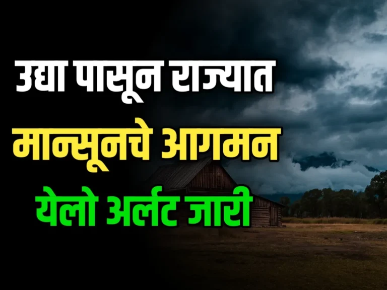 Monsoon Update Today 2024 : राज्यात उद्या पावसाचा अंदाज | उद्याचे हवामान अंदाज