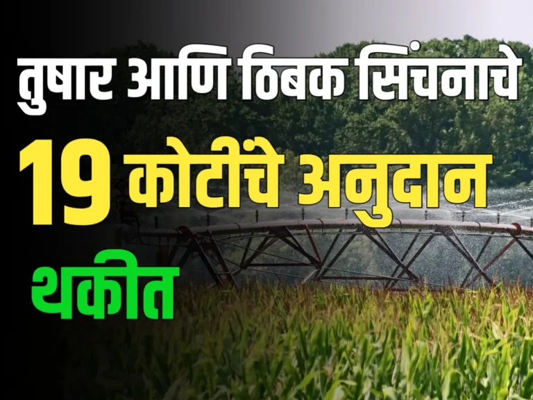 Agriculture Irrigation : ठिबक आणि तुषार सिंचन मध्ये 19 कोटीचे अनुदान थकीतAgriculture Irrigation : ठिबक आणि तुषार सिंचन मध्ये 19 कोटीचे अनुदान थकीत