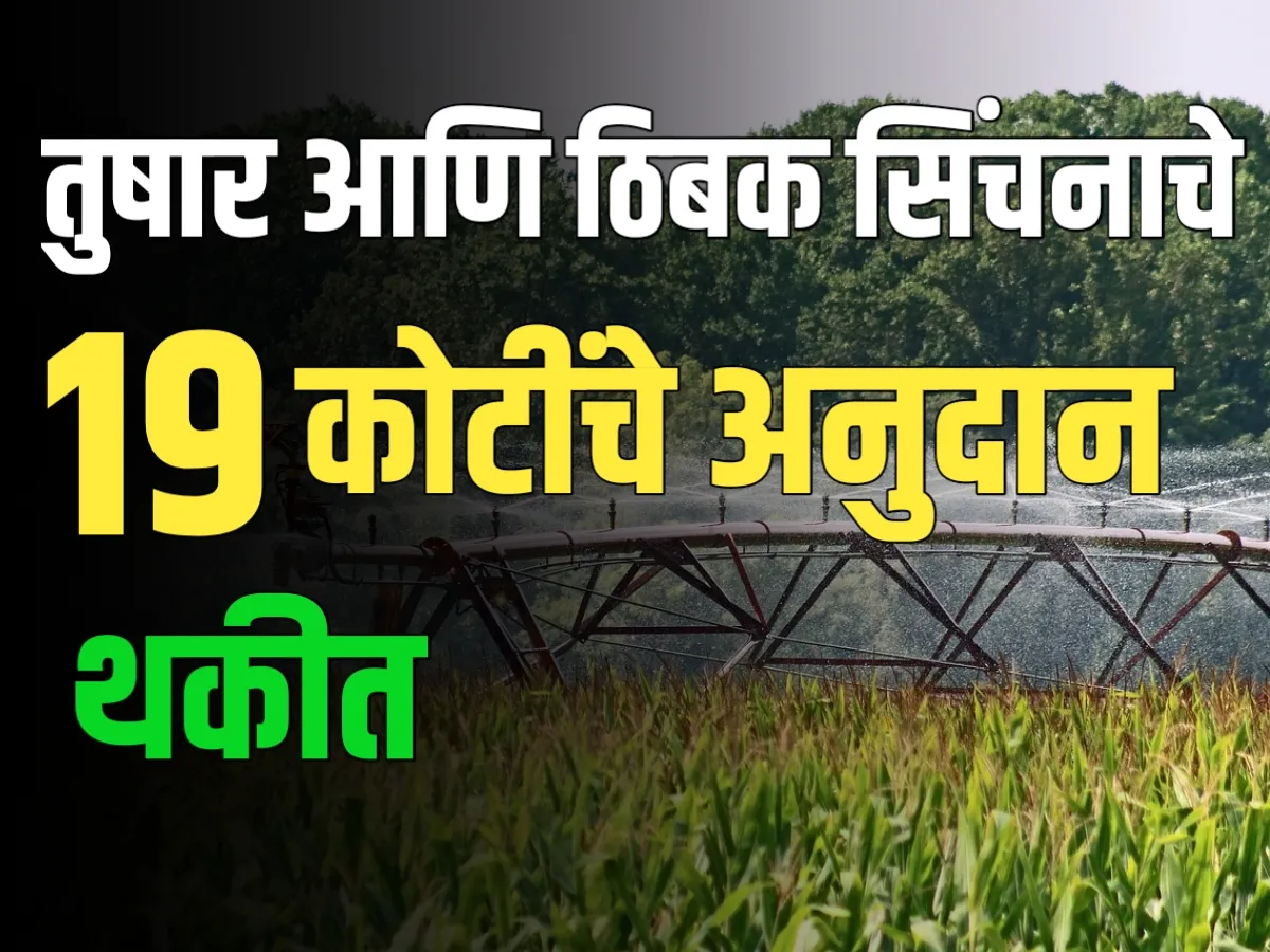 Agriculture Irrigation : ठिबक आणि तुषार सिंचन मध्ये 19 कोटीचे अनुदान थकीतAgriculture Irrigation : ठिबक आणि तुषार सिंचन मध्ये 19 कोटीचे अनुदान थकीत