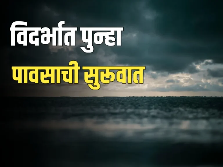 Maharashtra Rain Alert : विदर्भात पावसाची सुरुवात