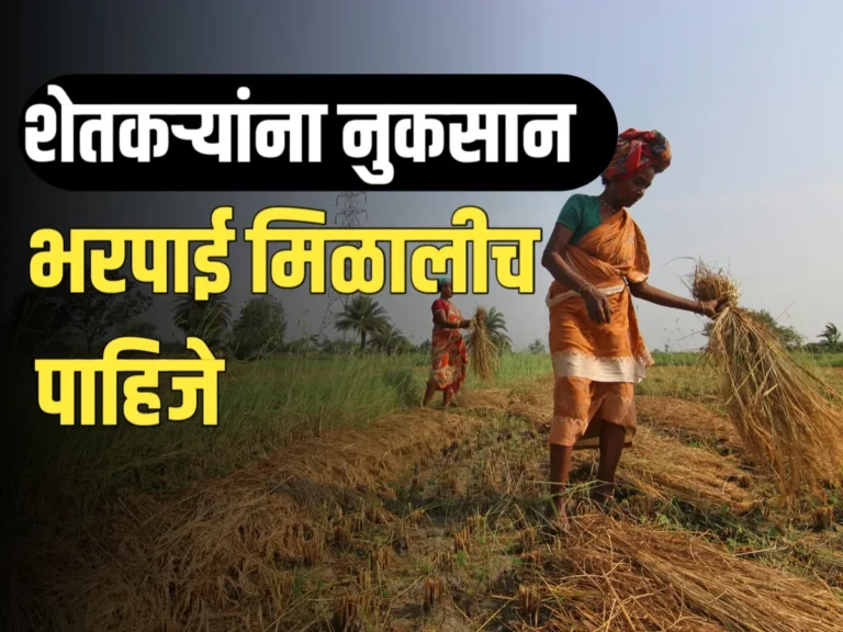 Crop Damage Survey : शेतकऱ्यांना नुकसान भरपाई द्यावी