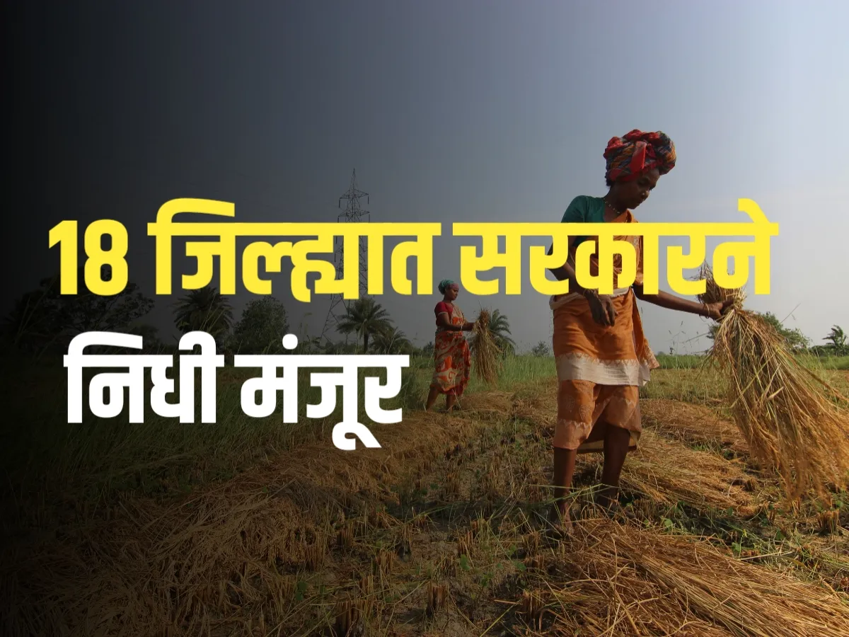 Crop Insurance : तीन महत्त्वपूर्ण शासन निर्णय | 18 जिल्ह्यांसाठी मदत निधी जाहीर