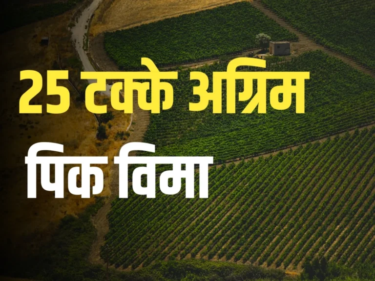 Crop Insurance : 25 टक्के अग्रिम विमा देण्याचे आदेश