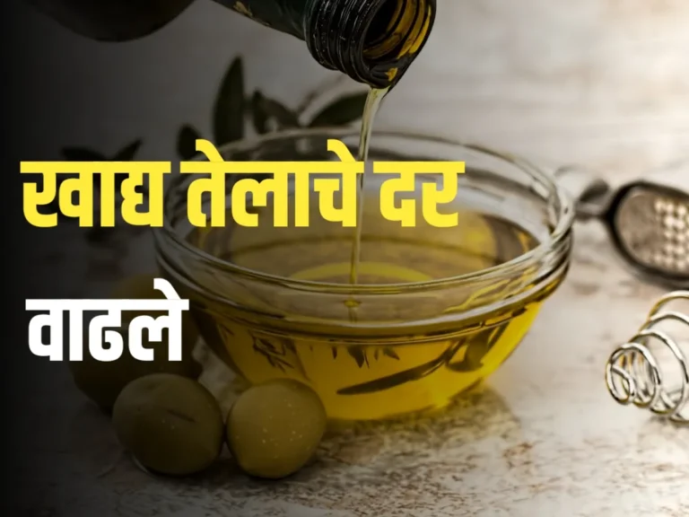 Edible Oil Rate : खाद्यतेलाचे दर सरकारने वाढू नये