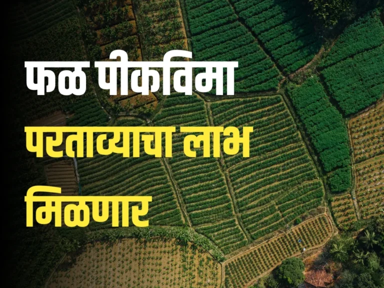 Fruit Crop Insurance : फळ पीकविमा परताव्यापोटी शासनाकडून निधीचे वितरण