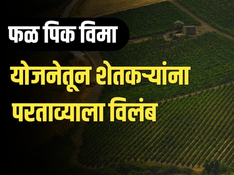 Fruit Crop Insurance : फळ पीक विमा योजनेतून परताव्याला विलंब झाल्याने असंतोष