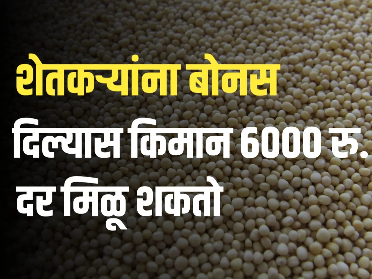 Soybean Bajarbhav : सोयाबीनला हमीभाव आणि बोनस | शेतकऱ्यांच्या आशा आणि सरकारची भूमिका ?