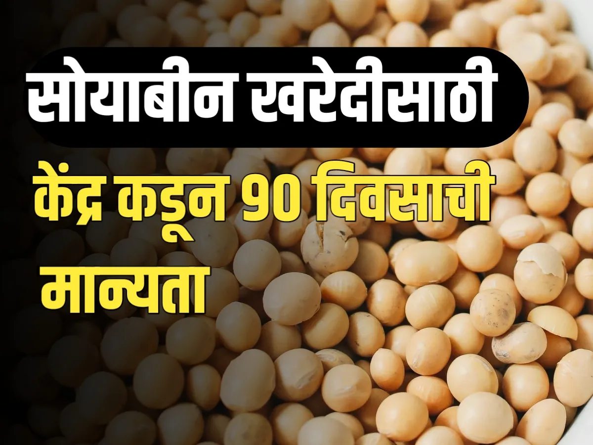 Soybean News : कृषीमंत्री धनंजय मुंडे यांच्या पाठपुराव्याला यश | सोयाबीन खरेदी केंद्राला 90 दिवसांची मान्यता