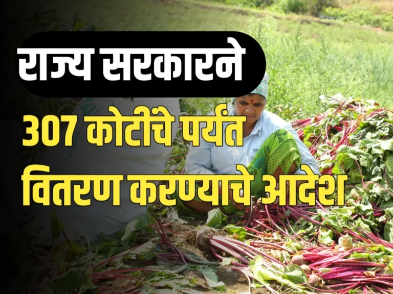 Farmers Debt Relief Scheme : शेतकऱ्यांना कर्जमुक्ती योजनेअंतर्गत दिलासा