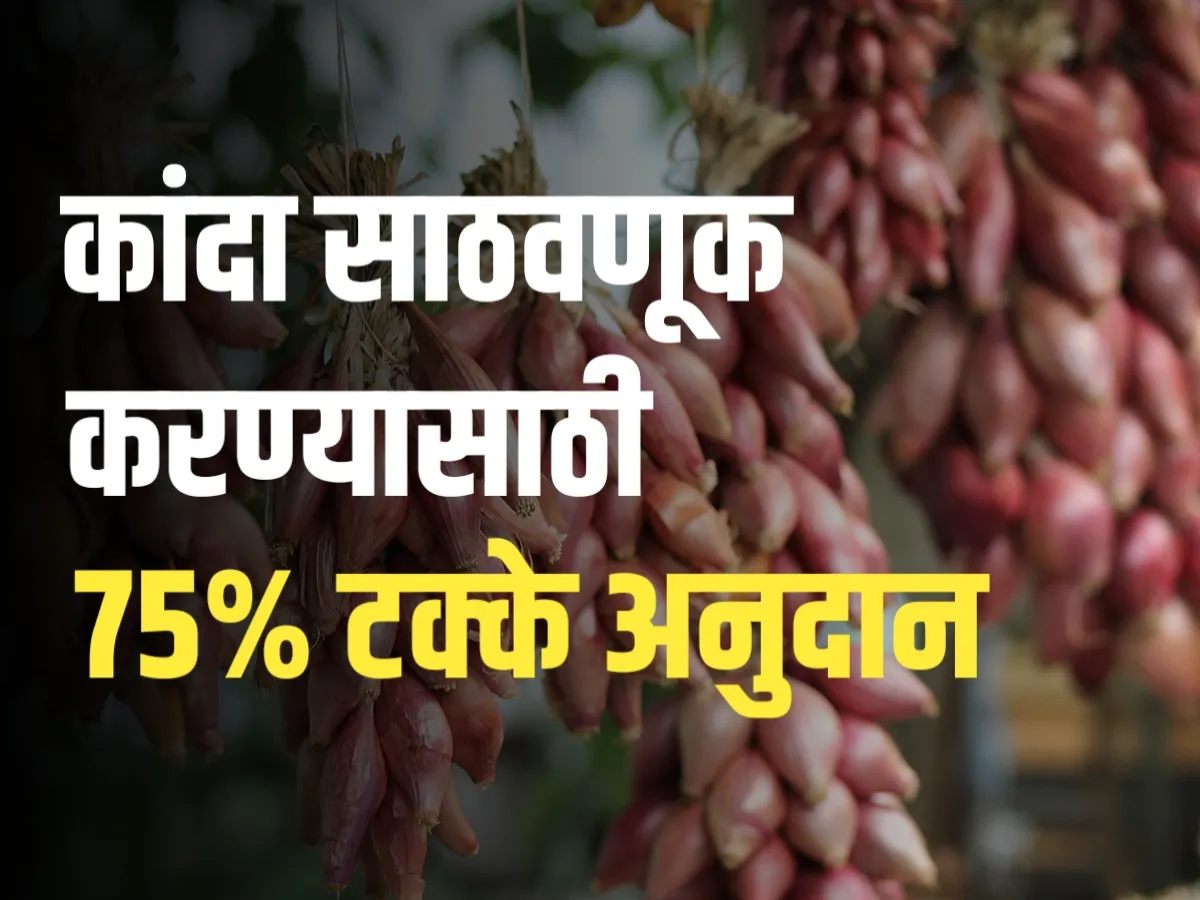 Onion Storage Subsidy | कांदा साठवणुकीसाठी सरकारकडून मिळणार 75% अनुदान