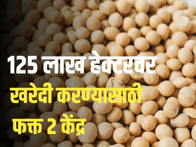 Soybean Update : 125 लाख हेक्टवर फक्त सोयाबीन खरेदी करण्यासाठी 2 केंद्र