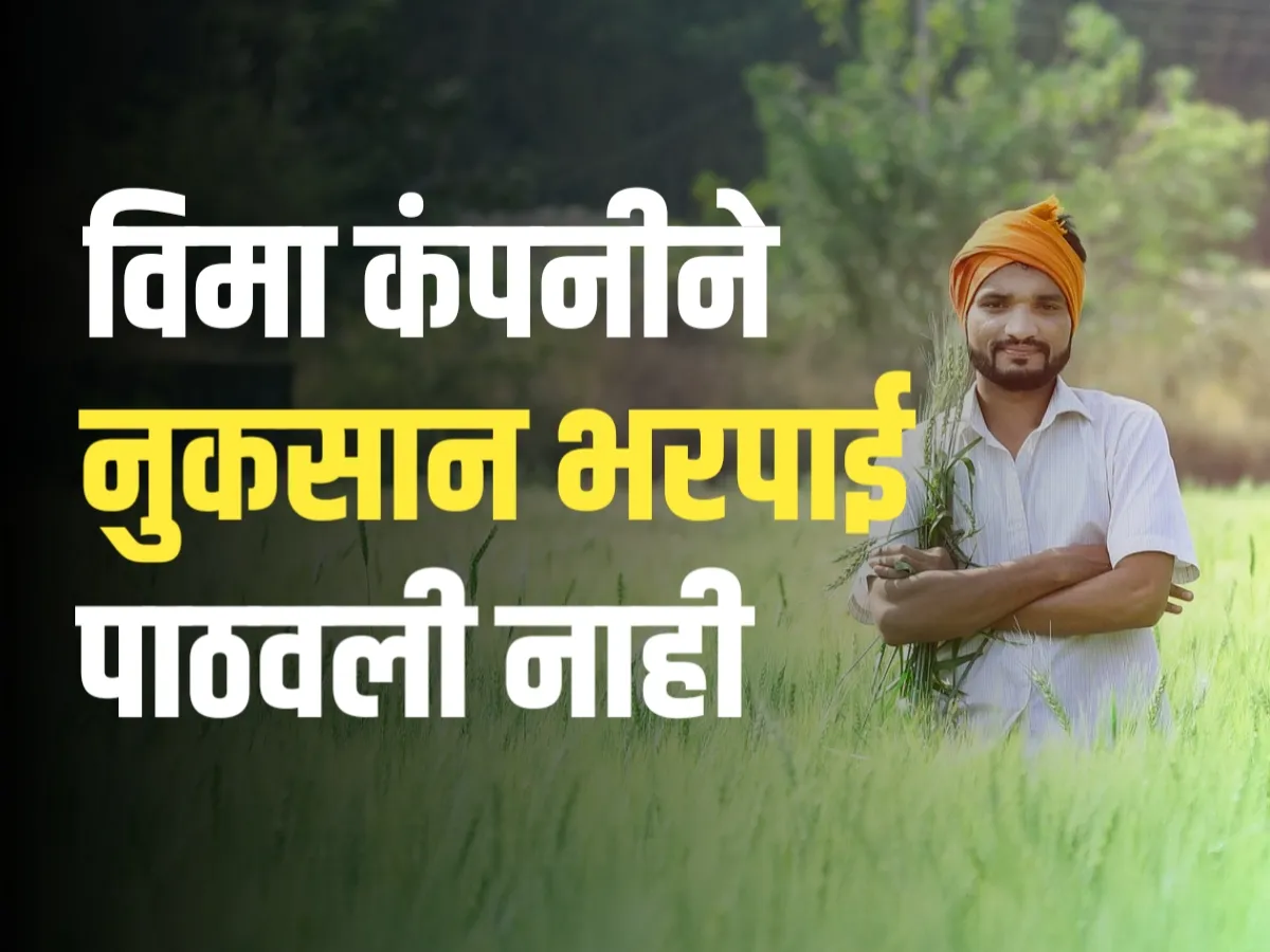 Crop Insurance : सरकारने पैसे दिले असले तरीहि विमा कंपनीने पैसे पाठवले नाही