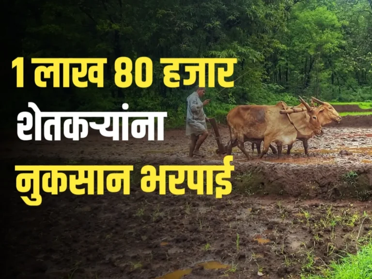 Crop Insurance : 1 लाख 80 हजार शेतकऱ्यांना नुकसान भरपाई मिळणार