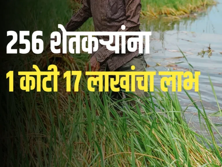 Farmer Loan Waive : 256 शेतकऱ्यांना 1 कोटी 17 लाखांचा लाभ