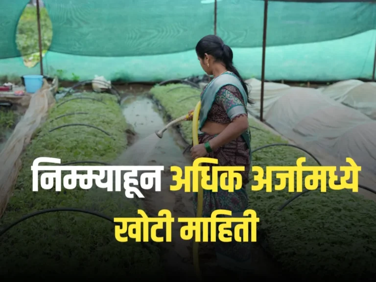 Farming Insurance : शेतकऱ्यांची फसवणूक | निम्म्याहून अधिक अर्जांमध्ये खोटी माहिती