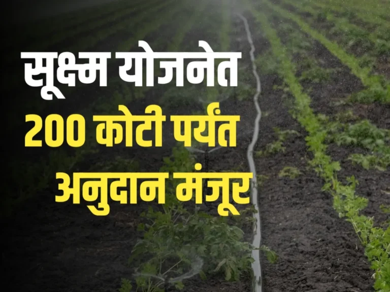 Micro Irrigation Scheme : सूक्ष्म सिंचन योजनेअंतर्गत 200 कोटीं पर्यंत अनुदान मंजूर