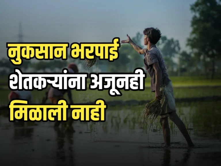 Crop Insurance : गारपीटीची नुकसान भरपाई‍ अजूनहि मिळाली नाही
