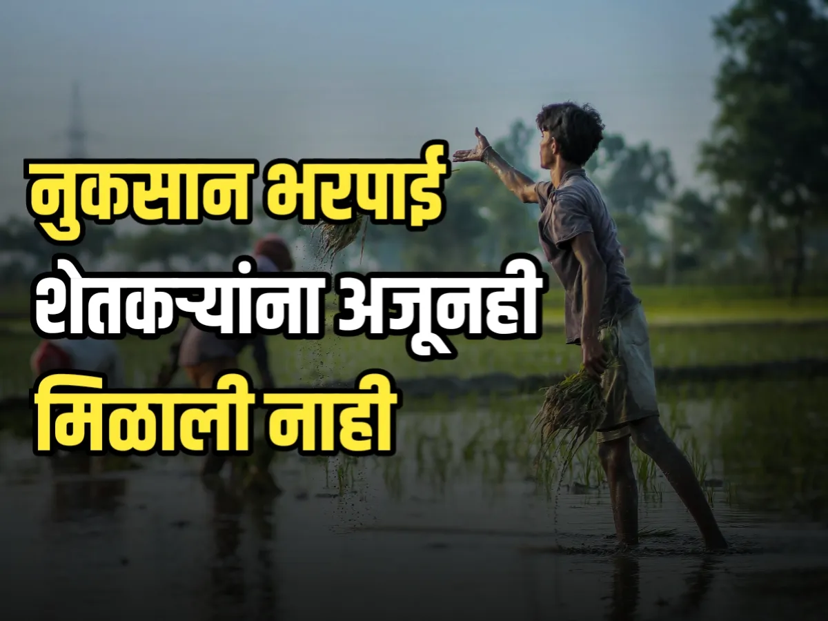 Crop Insurance : गारपीटीची नुकसान भरपाई अजूनहि मिळाली नाही