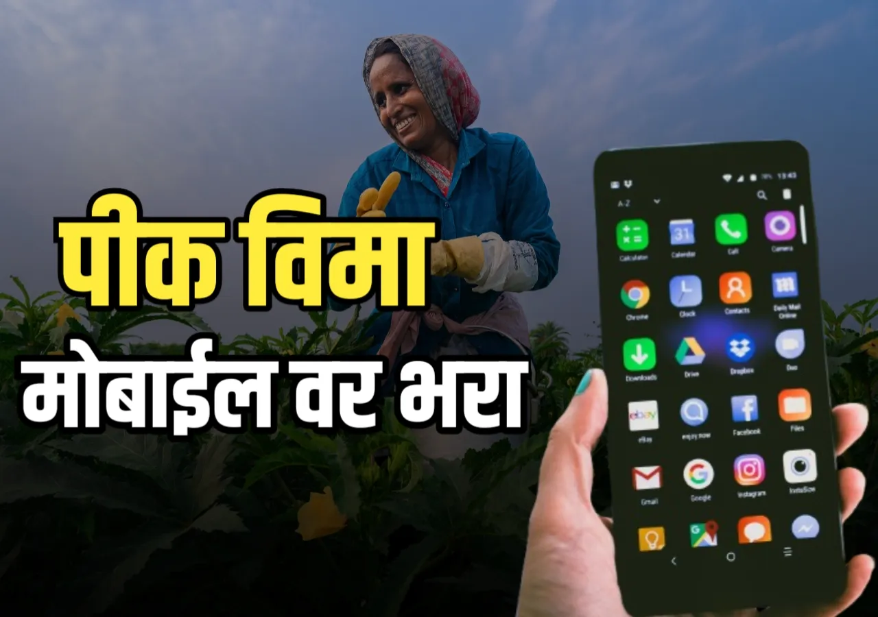 Crop Insurance : रब्बी पीक विम्यासाठी अर्ज कसा करावा सोपी पद्धत