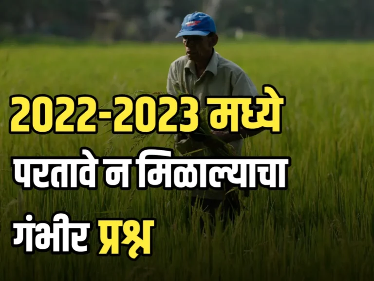 Fruit Crop Insurance : विमाधारकांना 2022-23 मध्ये परतावे न मिळाल्याचा गंभीर प्रश्न