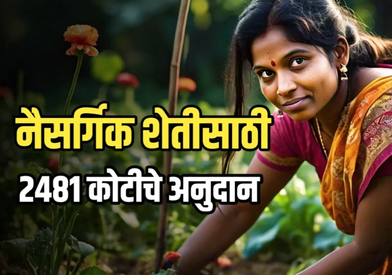Natural Farming : नैसर्गिक शेतीसाठी 2481 कोटी रुपये निधी