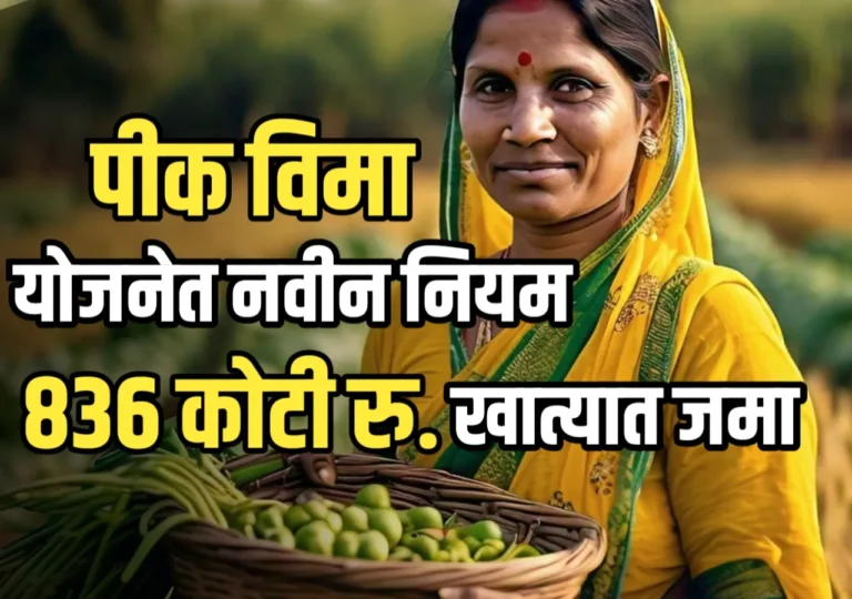 Pik vima : पीक विमा योजनेत नवीन नियम लागू | 836 कोटी शेतकऱ्यांच्या खात्यात जमा
