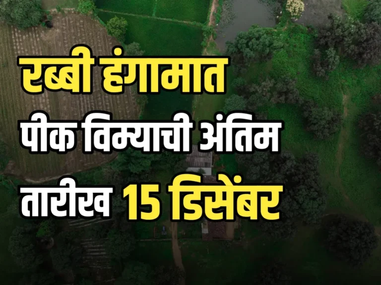 Pik Vima Yojana : रब्बी हंगामासाठी पीक विमा अर्जाची अंतिम तारीख 15 डिसेंबर