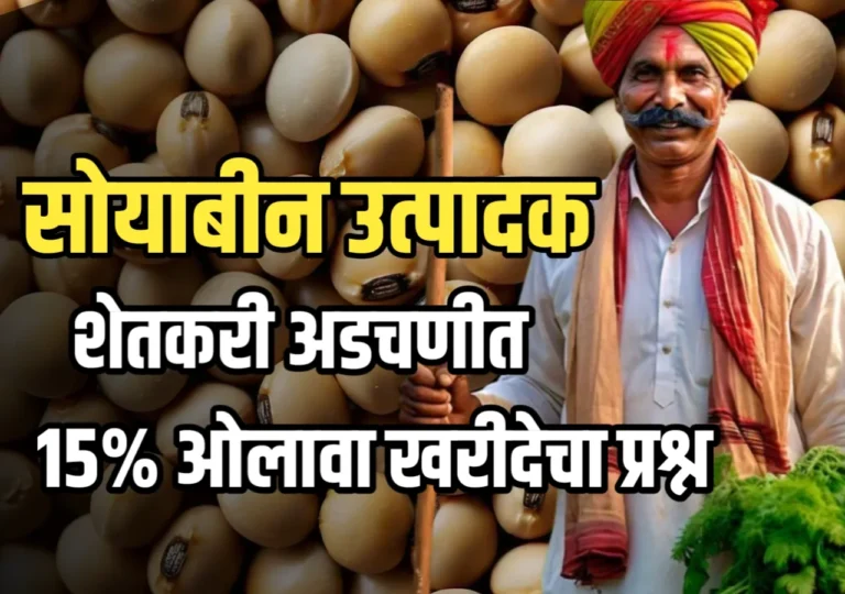 Soybean Market : सोयाबीन उत्पादक शेतकऱ्यांची अडचण | 15% ओलावा खरेदीचा प्रश्न अजूनही अनुत्तरीत