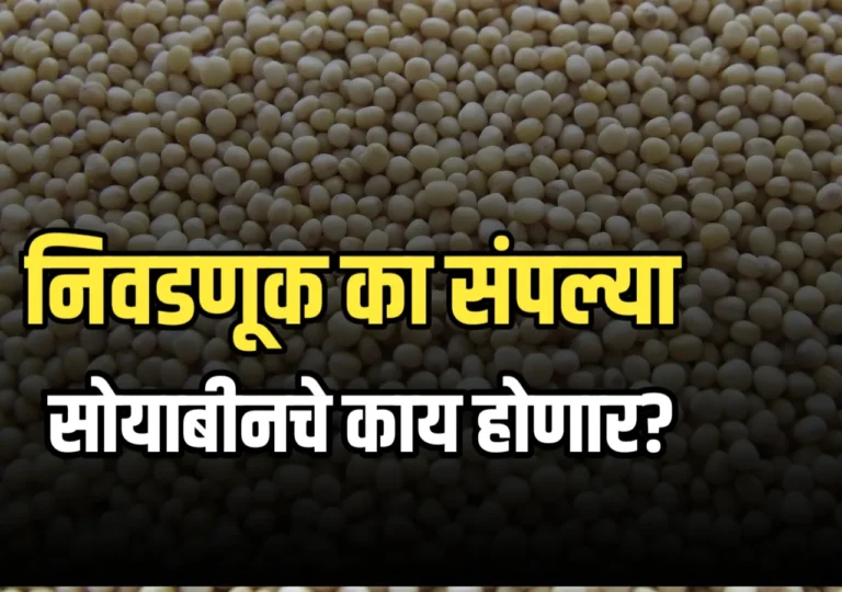 Soybean Market : सरकार हमीभावाने सोयाबीन खरेदी | उशीर, अडचणी आणि शंका