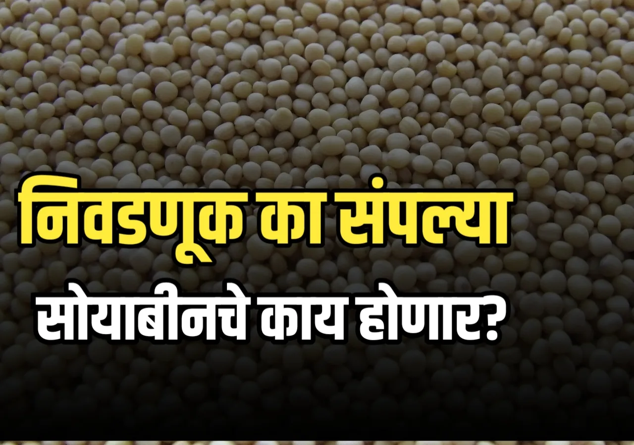 Soybean Market : सरकार हमीभावाने सोयाबीन खरेदी | उशीर, अडचणी आणि शंका