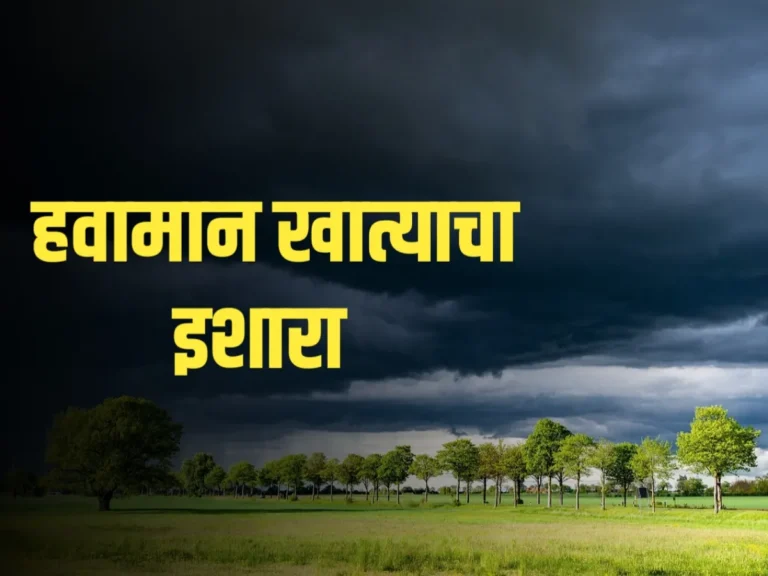 Cyclone Fengal Alert : फेंगल चक्रीवादळामुळे अलर्ट जारी | हवामान विभागाचा अंदाज