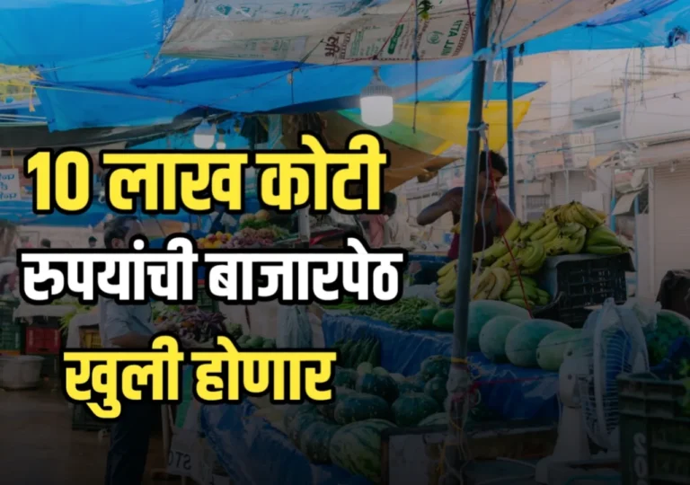 Natural Farming : शेतकऱ्यांसाठी 10 लाख कोटी रुपयांची बाजारपेठ खुली होईल