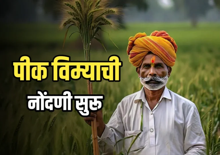 Pik Vima : पीक विम्याची नोंदणी सुरूवात