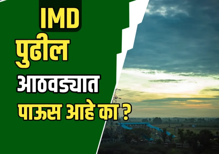 IMD News With Weather : थंडीचे लहरी तापमान: पुढील आठवड्यात पाऊस येणार का? जाणून घ्या सविस्तर