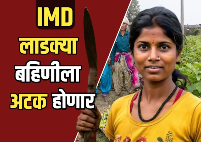 Ladki Bahin Yojana: लाडकी बहीण योजनेअंतर्गत काही महिलांवर गुन्हा दाखल होणार! नेमकं कारण काय?