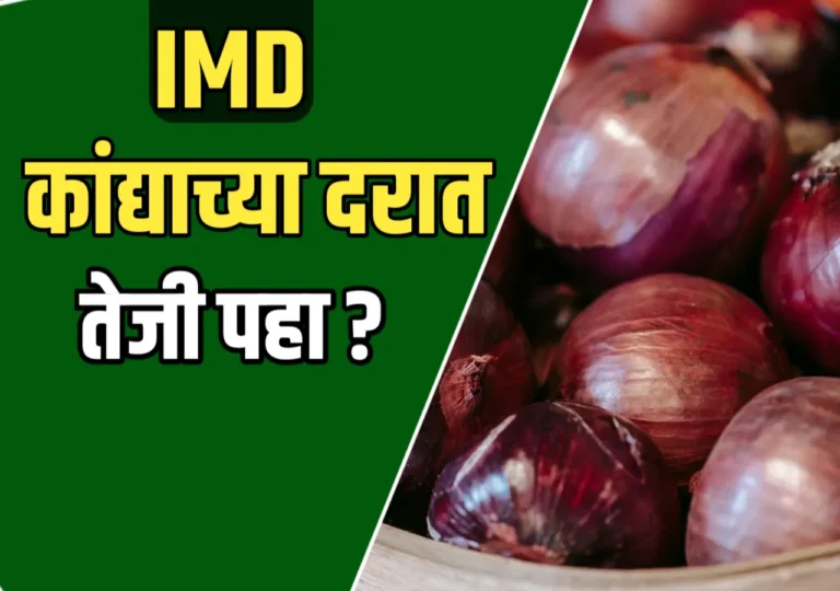 Onions Market : कांद्याचे दर वाढले का? शेतकऱ्यांसाठी ताजी माहिती आणि फायदेशीर टिप्स!