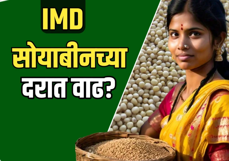 Soybean Rate : सोयाबीनचे भाव वाढणार का? जाणून घ्या ताज्या घडामोडी!