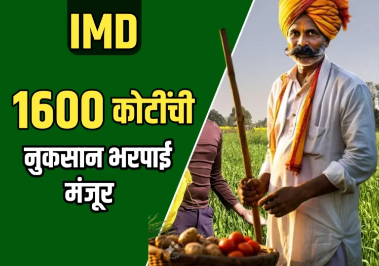 Crop Insurance : शेतकऱ्यांसाठी दिलासा! 2024 च्या नुकसान भरपाईची मोठी बातमी