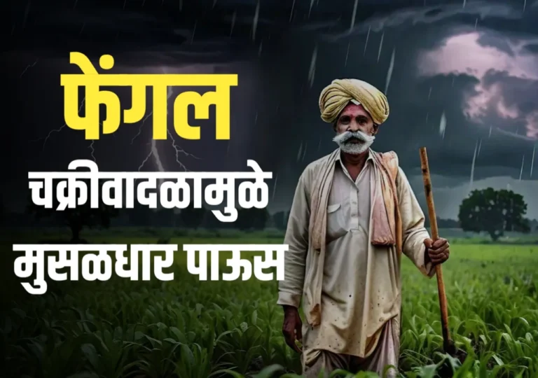 पाऊस : फेंगल चक्रीवादळाचे परिणाम महाराष्ट्रात