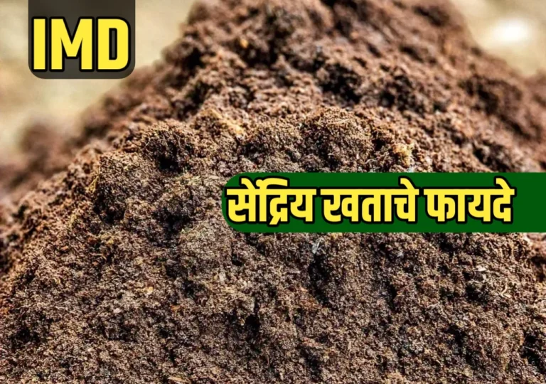 सेंद्रिय खतांचे फायदे: पर्यावरणपूरक आणि शाश्वत शेतीचा आधार