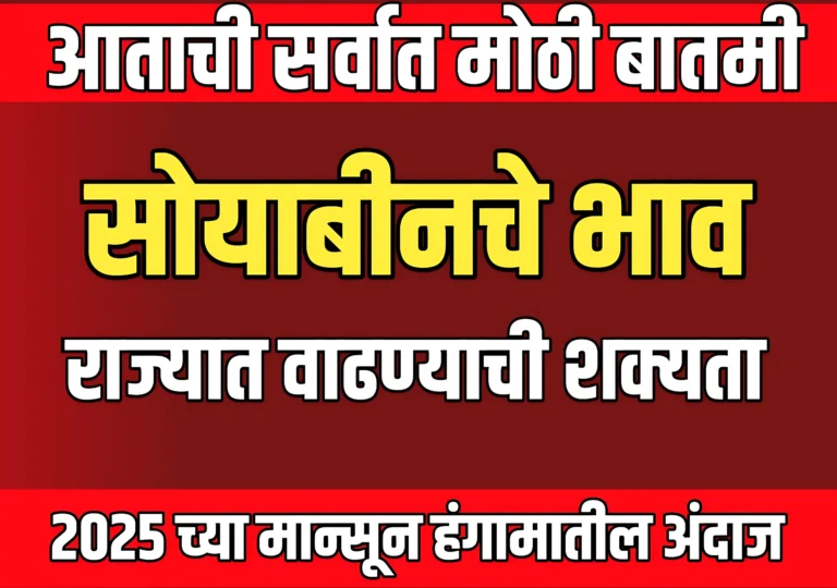 Soybean Rate : सोयाबीनचे भाव वाढवण्यासाठी सरकार खाद्य तेल आयात शुल्क वाढवणार?
