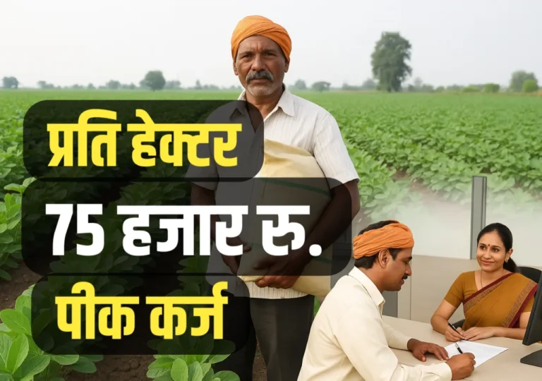 सोयाबीन शेतकऱ्यांसाठी खुशखबर! आता मिळणार ७५ हजार रुपये प्रति हेक्टर कर्ज