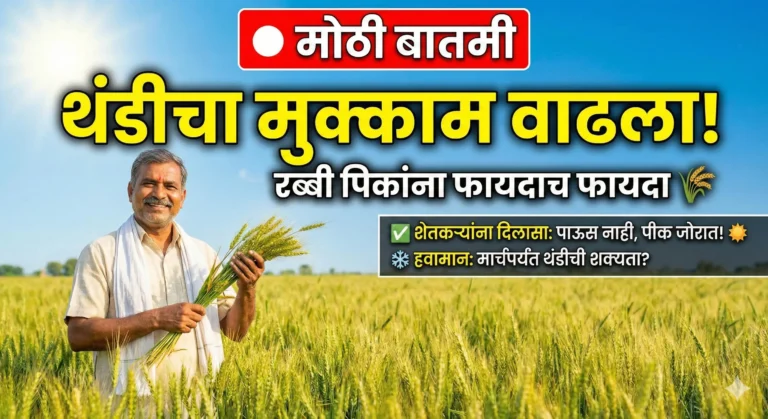 Winter Update: आनंदाची बातमी! पुढचे ३ महिने गारपीट नाही, पण थंडीचं काय?